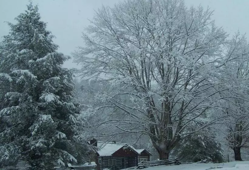 ホテル The Best! Gorgeous Cabin W Antiques For 2, Near Princeton  I 77
