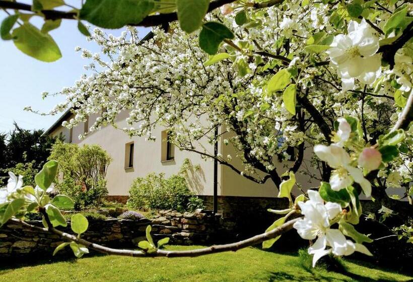 Отель Statek Two Brooms, Apartment