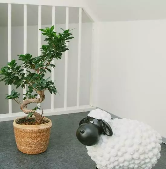 Majatalo Gästehaus Vigliarolo