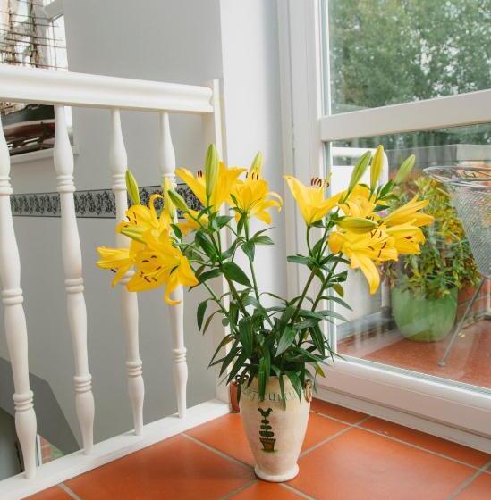 펜션 Gästehaus Vigliarolo