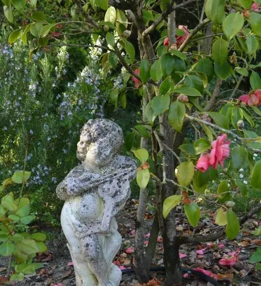 Aamiaismajoitus (B&B) La Cabanne