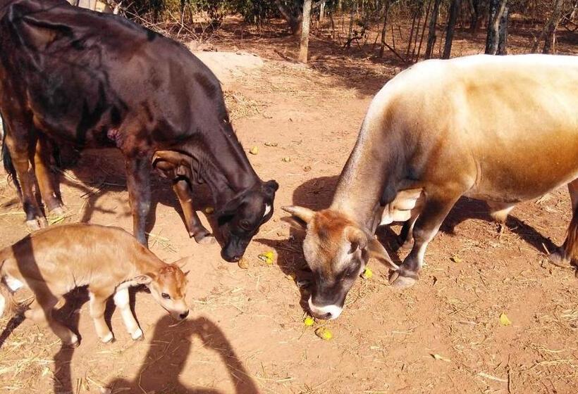 Fazenda Hotel Bem Ecológico