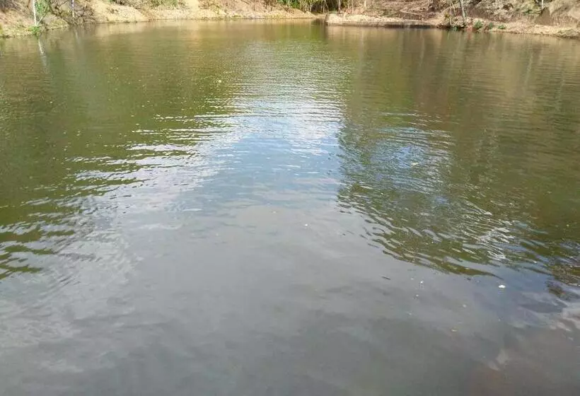 Fazenda Hotel Bem Ecológico