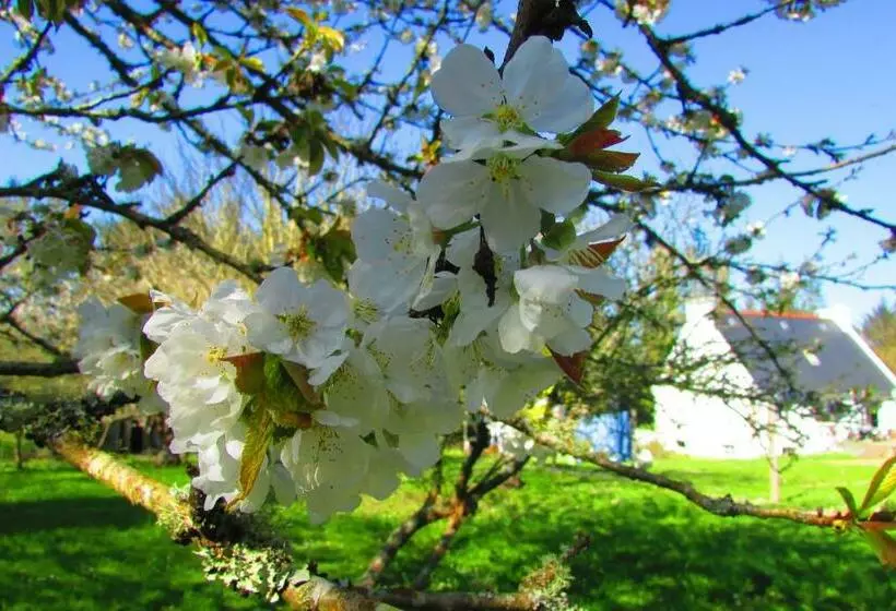 Aamiaismajoitus (B&B) La Vallee