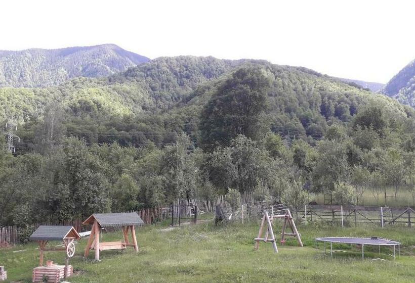 Bed and Breakfast Pensiunea Bradet