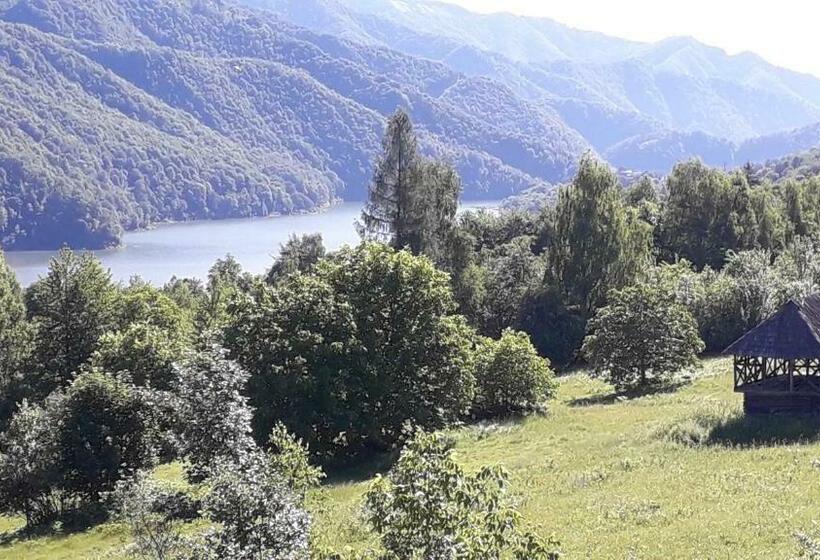 Bed and Breakfast Pensiunea Bradet