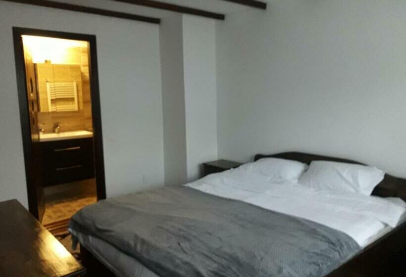 Bed and Breakfast Pensiunea Bradet