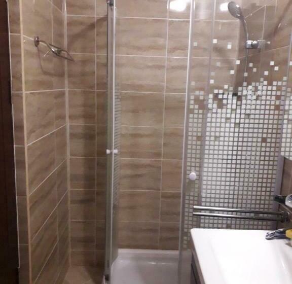 Bed and Breakfast Pensiunea Bradet