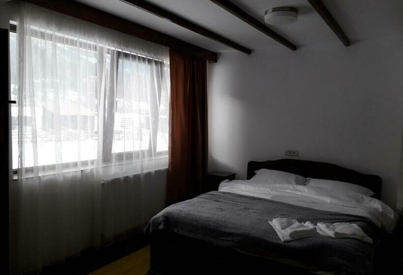 Bed and Breakfast Pensiunea Bradet