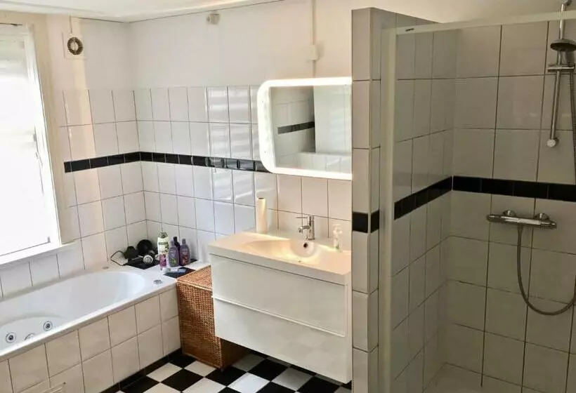 Bed And Breakfast Rotterdam