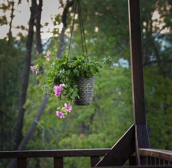 هتل Cantinho Da Gândara