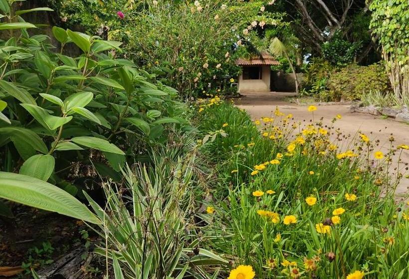 O Caramuru Hostel   Cumuruxatiba