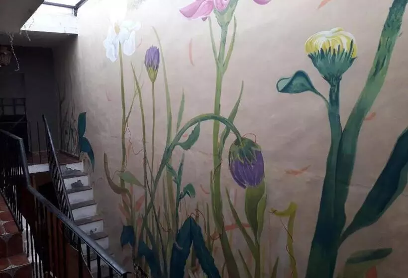 پانسیون El Laberinto Hospedaje En Casa