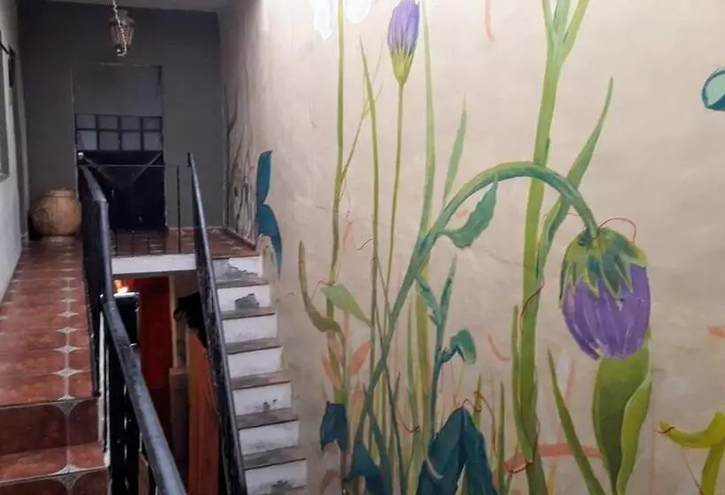 پانسیون El Laberinto Hospedaje En Casa