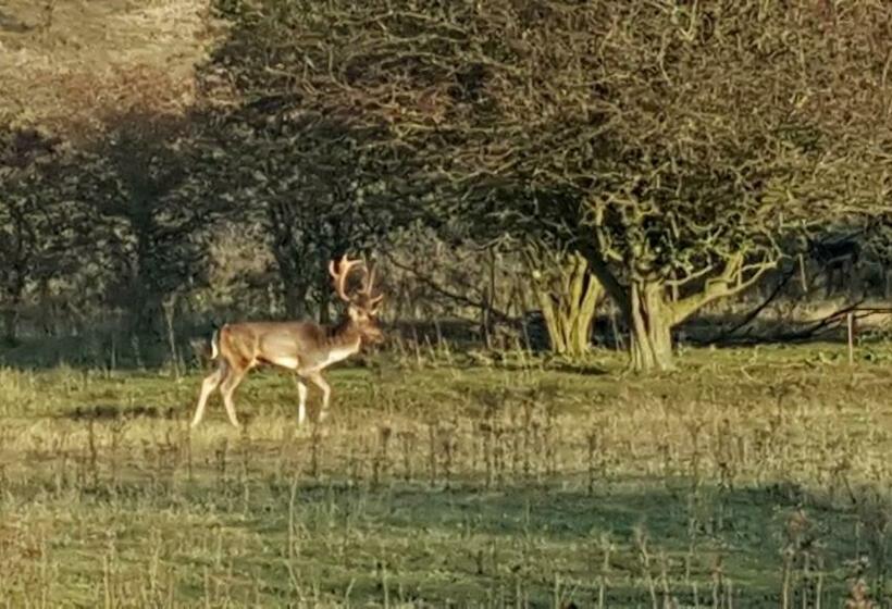پانسیون Near The Beach
