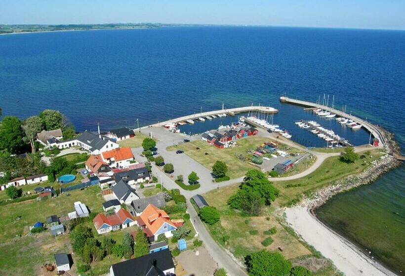 Bed and Breakfast Pensionat Strandhuset I Abbekås