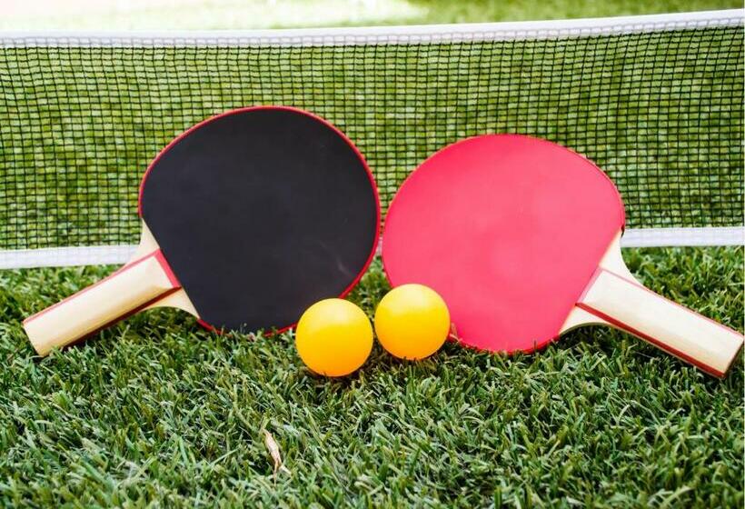 הוסטל Casa Segaria