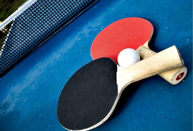 הוסטל Casa Segaria