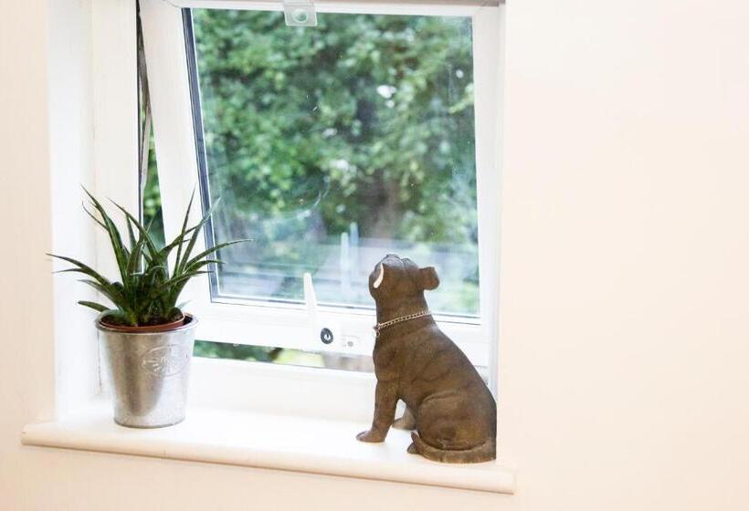 צימר The Green House Guest House