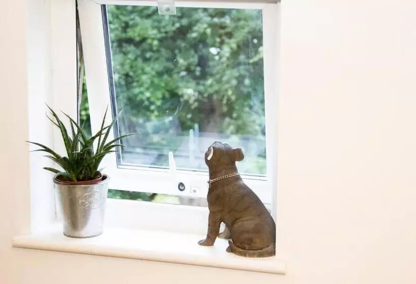 ベッドアンドブレックファースト The Green House Guest House