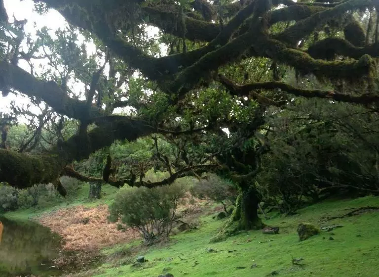 ペンション Janela Para O Atlântico