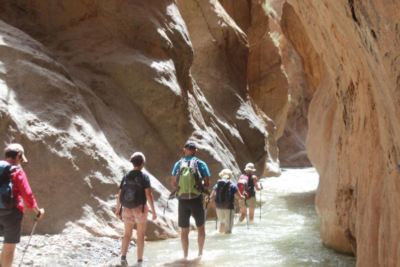 Riad Berbère Boutaghrar