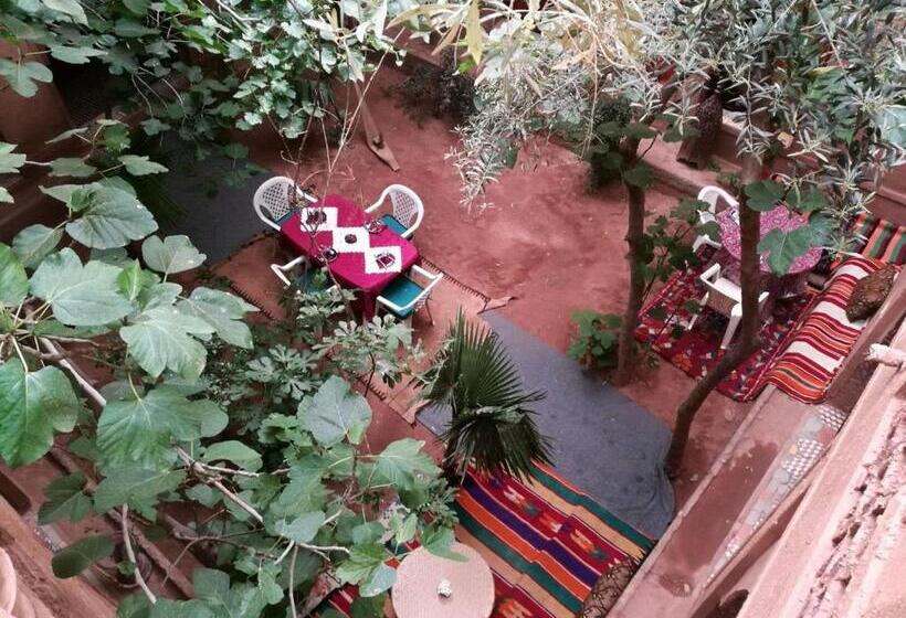 Riad Berbère Boutaghrar