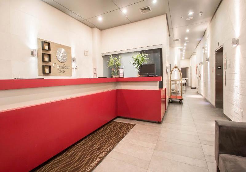 酒店 Comfort Inn Manhattan Bridge