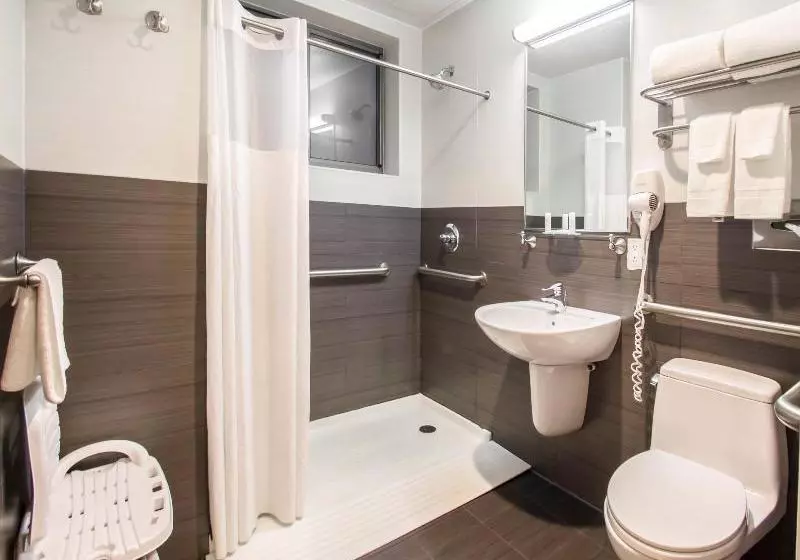 酒店 Comfort Inn Manhattan Bridge