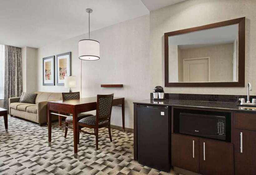 Otel Embassy Suites Buffalo