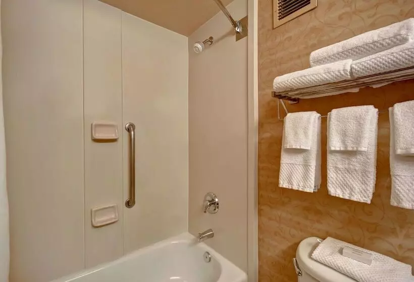 ホテル Embassy Suites By Hilton At Hot Springs Convention Center