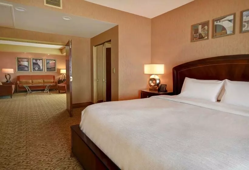 ホテル Embassy Suites By Hilton At Hot Springs Convention Center