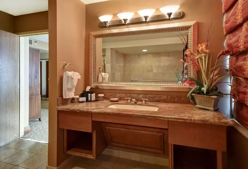 ホテル Embassy Suites By Hilton At Hot Springs Convention Center