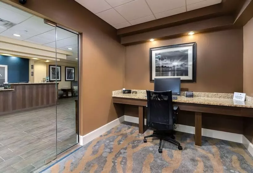 בית מלון כפרי Hampton Inn Daytona Shoresoceanfront