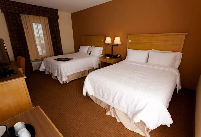 酒店 Hampton Inn & Suites Riverton