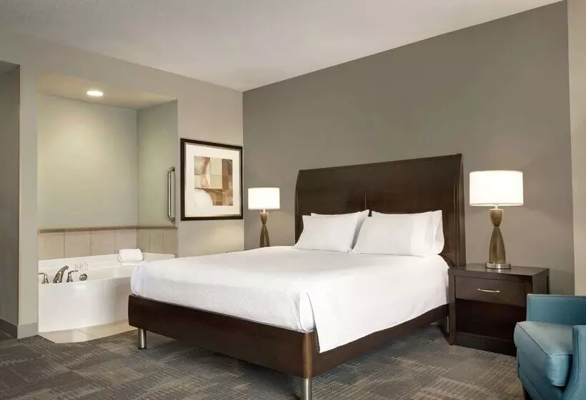 فندق Hilton Garden Inn Minneapolis Downtown