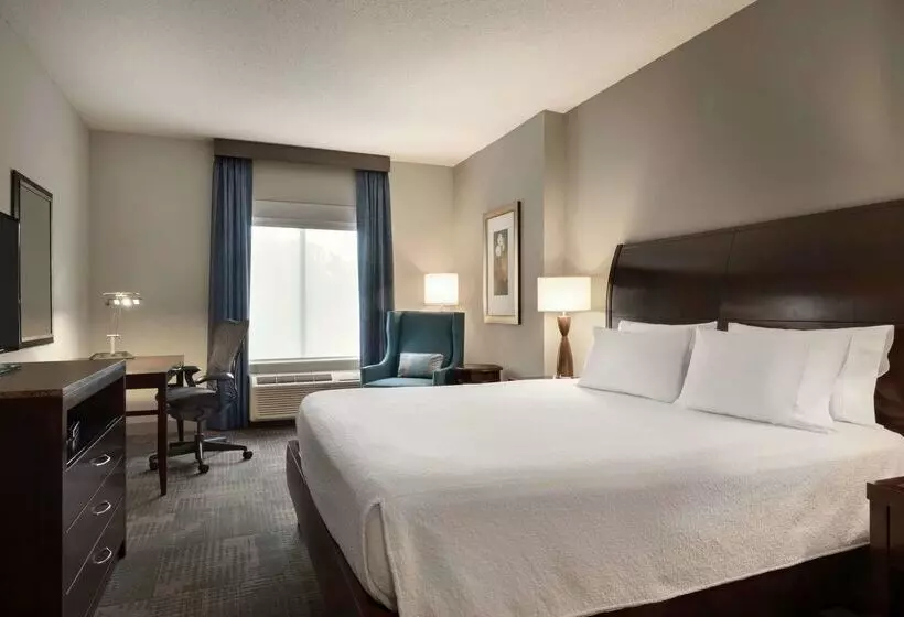 فندق Hilton Garden Inn Minneapolis Downtown