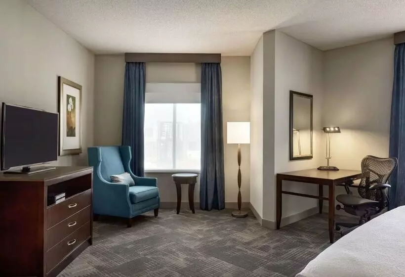 فندق Hilton Garden Inn Minneapolis Downtown