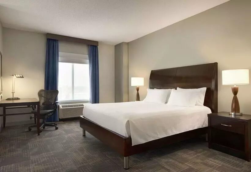 فندق Hilton Garden Inn Minneapolis Downtown