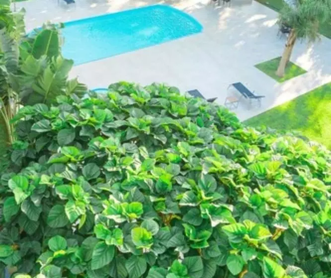 Otel Iguassu Express