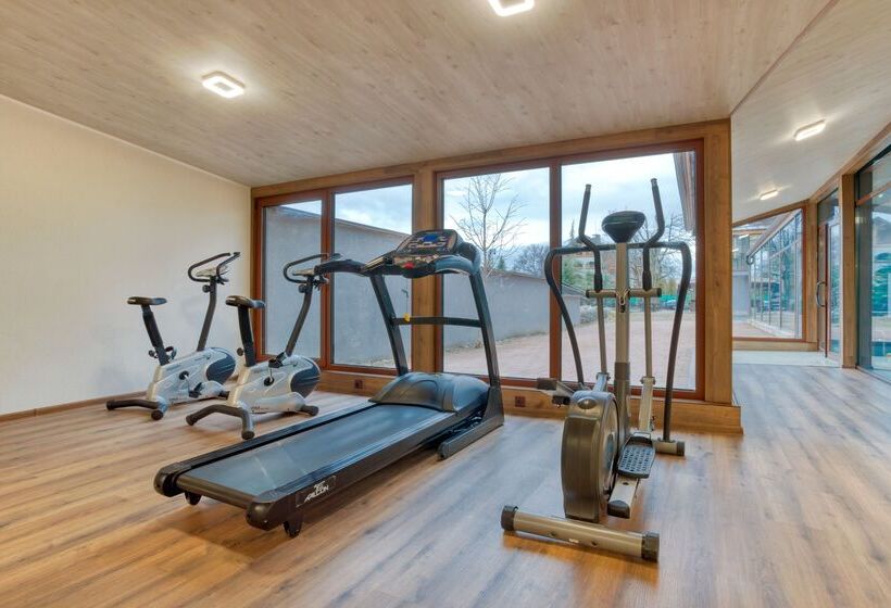 Mpm Hotel Sport Ski In, Ski Out