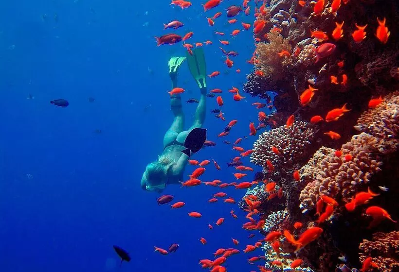 هتل The Breakers Diving And Surfing Lodge Soma Bay