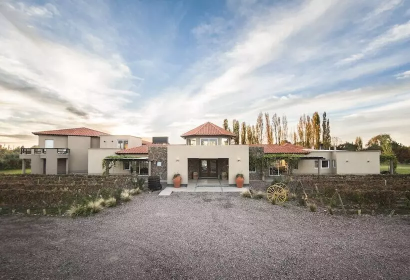 Hotel Villa Mansa Wine