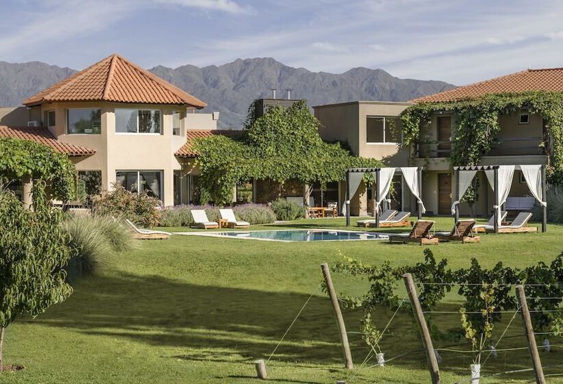 Hotel Villa Mansa Wine