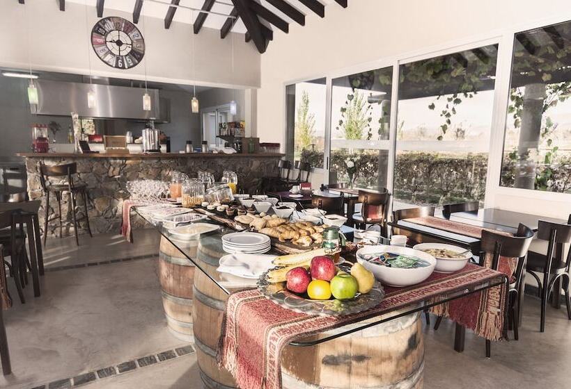 Hotel Villa Mansa Wine