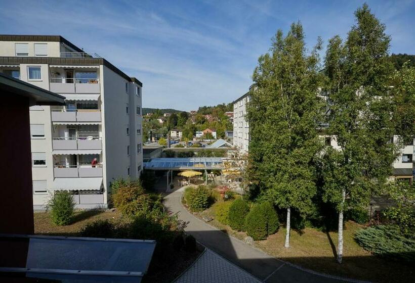 ペンション Gästehaus Schumm