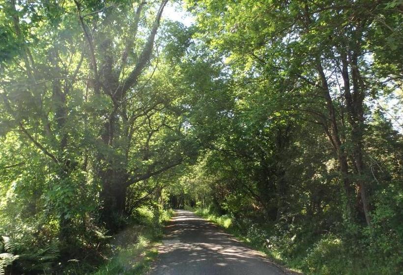 住宿加早餐  Le Cosy Cabarieu