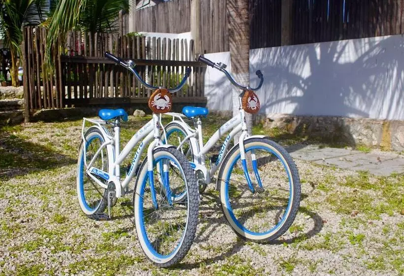 Hotelli Jaiba Mahahual   Adults Only