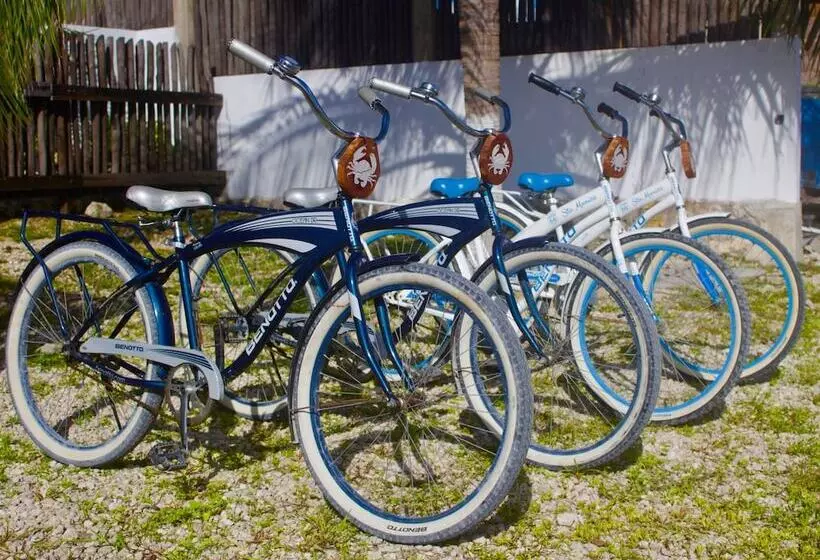 Hotelli Jaiba Mahahual   Adults Only