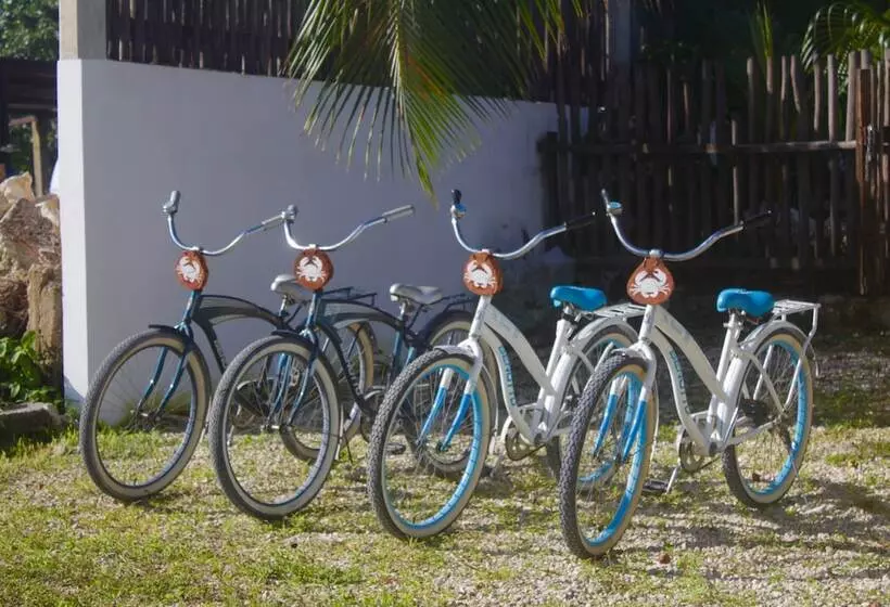 Hotelli Jaiba Mahahual   Adults Only